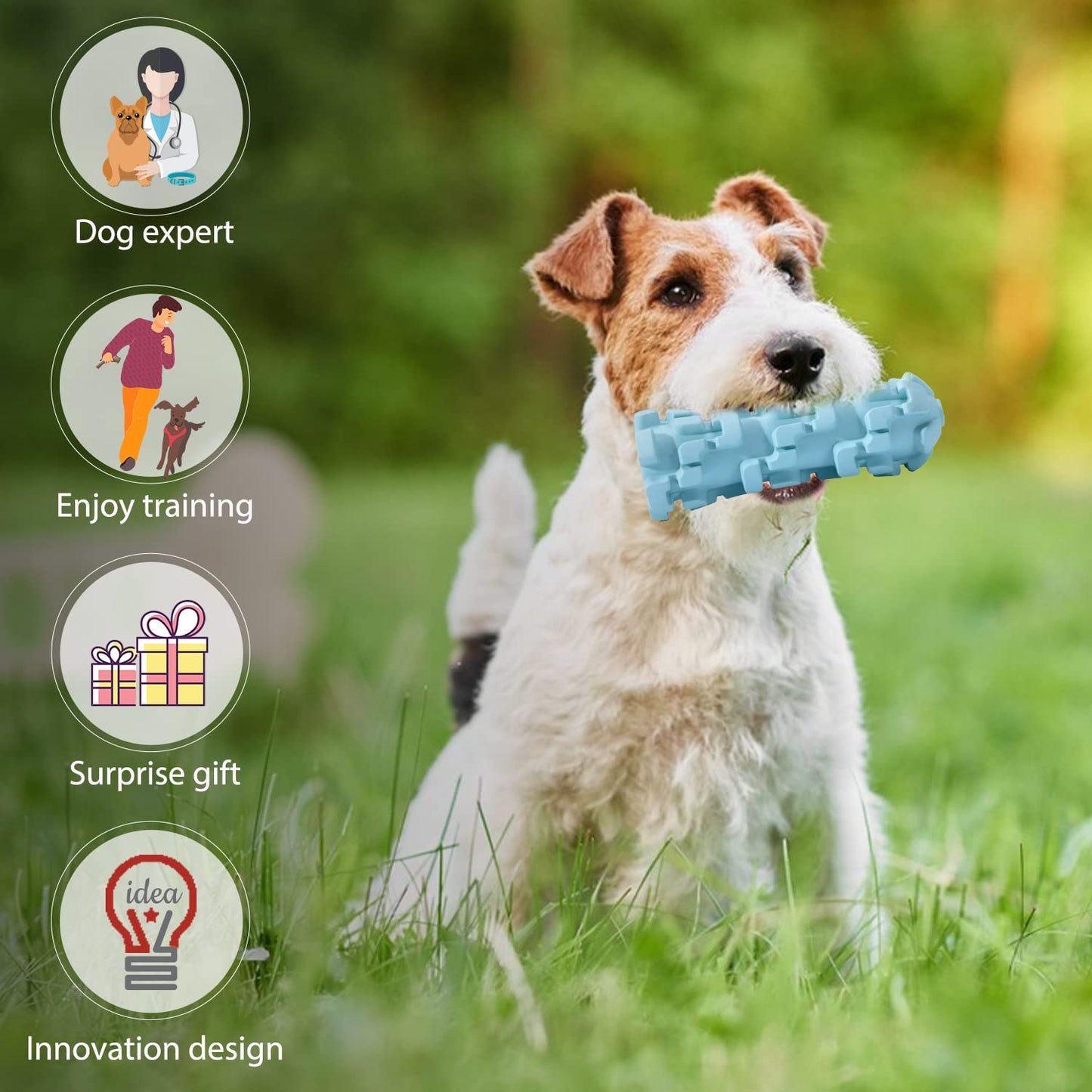 Hswaye Tough Dog Toothbrush Stick - Indestructible Toys for Aggressive Chewers, Medium to Large Dogs. Upgraded Teething Chew Toys