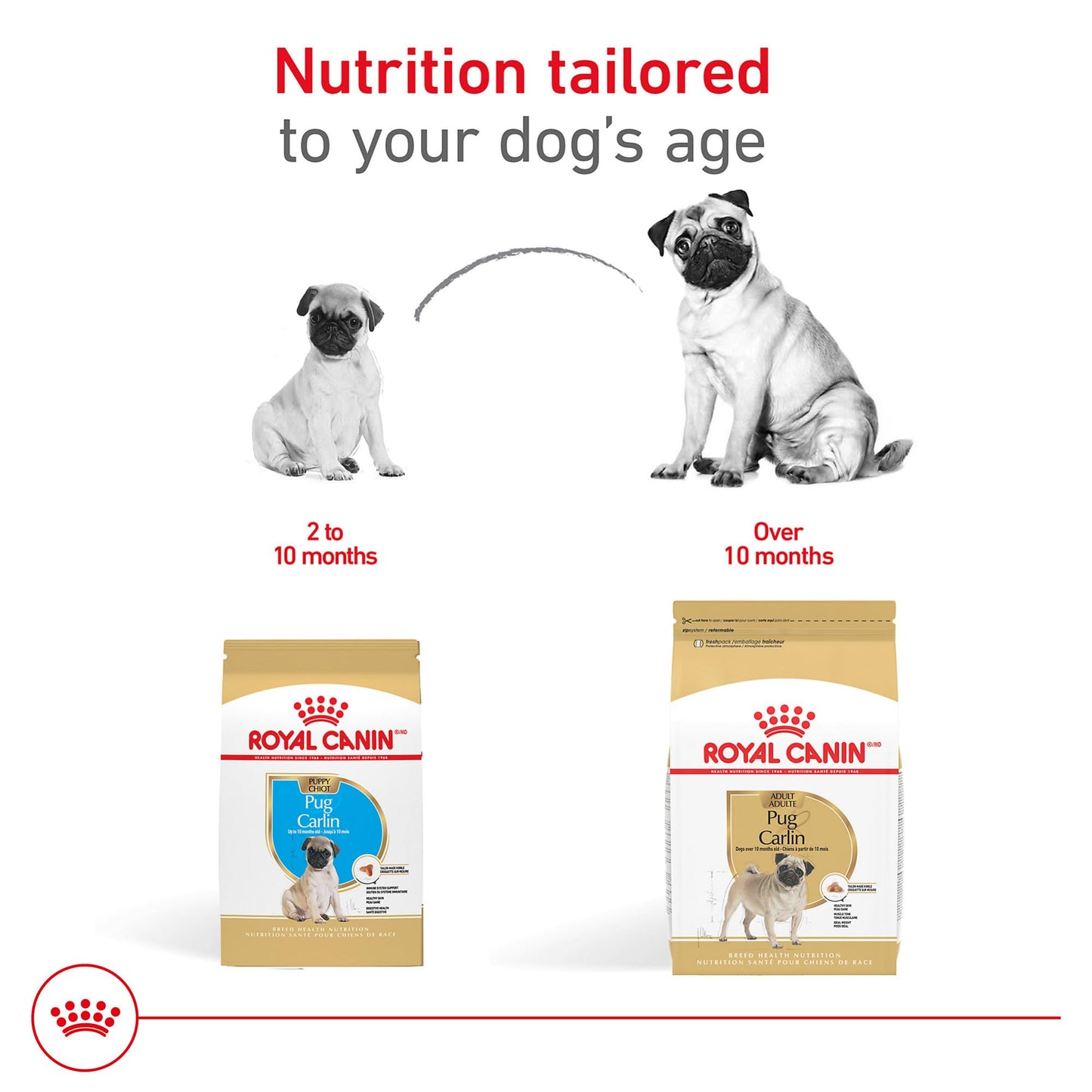 Royal Canin Breed Health Nutrition Pug Puppy Dry Dog Food, 2.5 lb Bag