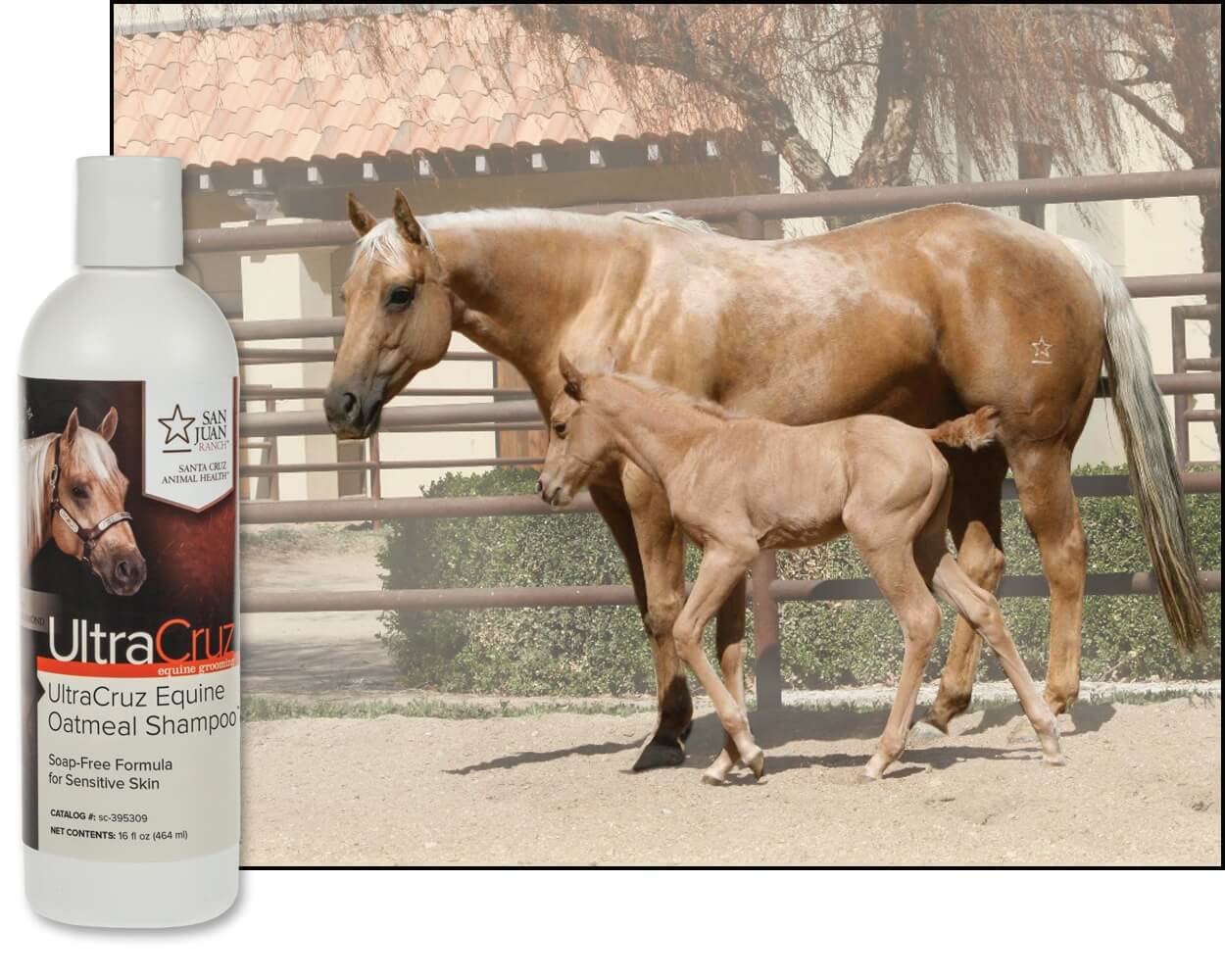 UltraCruz - sc-395309 Equine Oatmeal Horse Shampoo, 16 oz,white