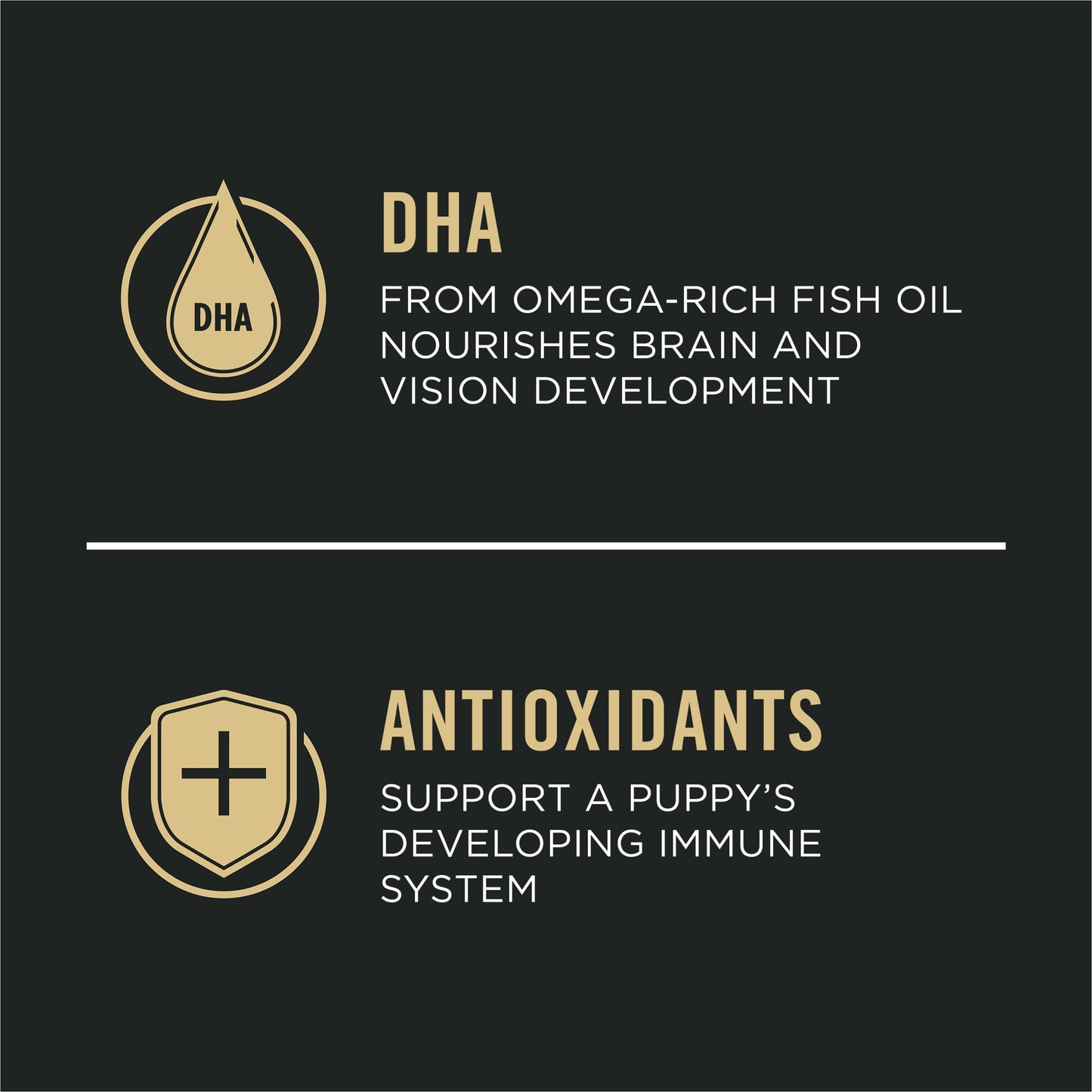 Purina Pro Plan High Protein Puppy Food Shredded Blend Chicken & Rice Formula - 34 lb. Bag