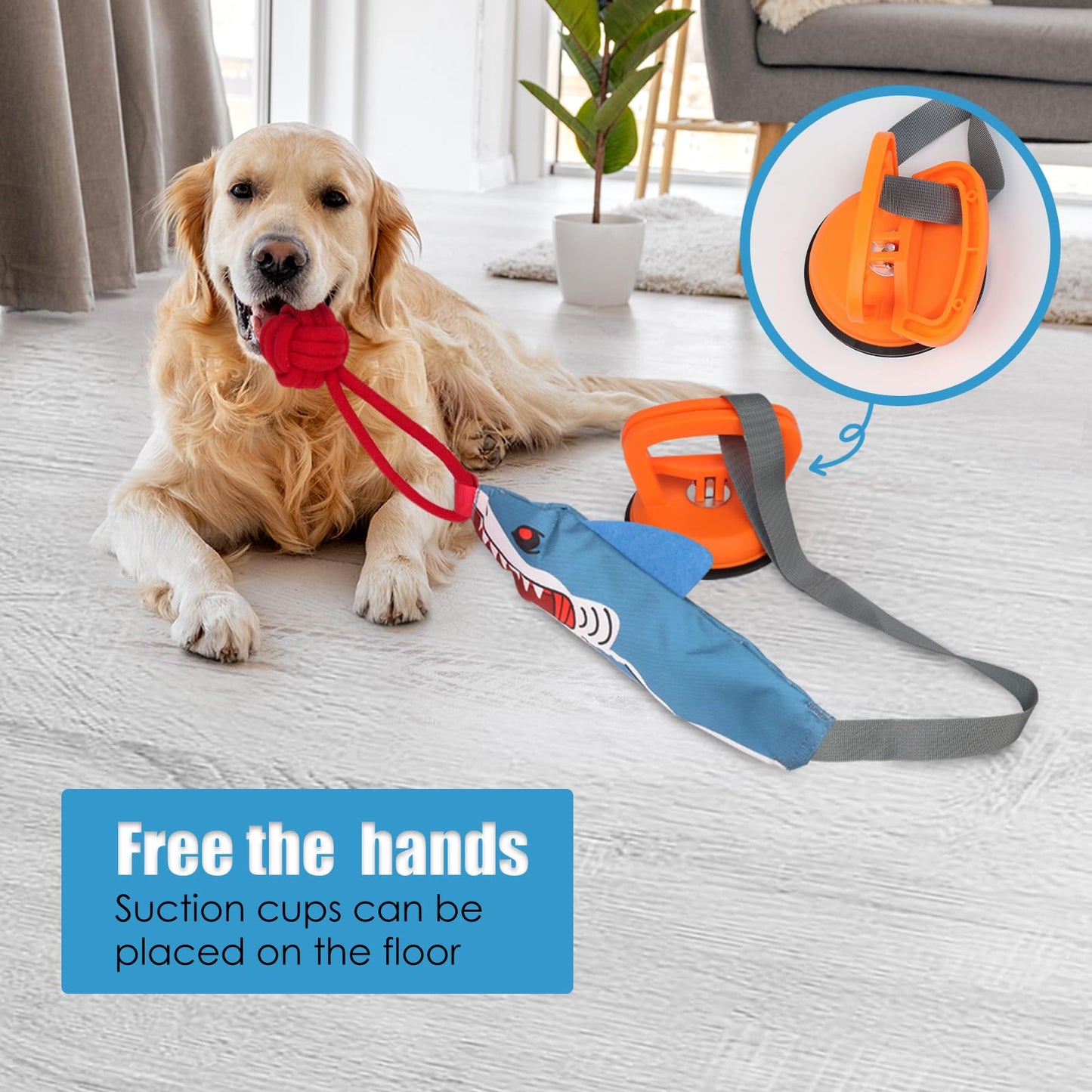 Kyakya Tug of War Dog Toy with Suction Cup, Squeaky Shark Shaped Dog Rope Toy for Interactive Training and Aggressive Chewers, Ideal for All Breeds Indoor and Outdoor Play