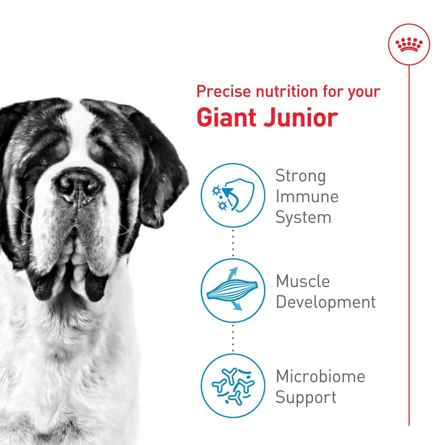 Royal Canin Size Health Nutrition Giant Junior Puppy Dry Dog Food, 30 lb Bag