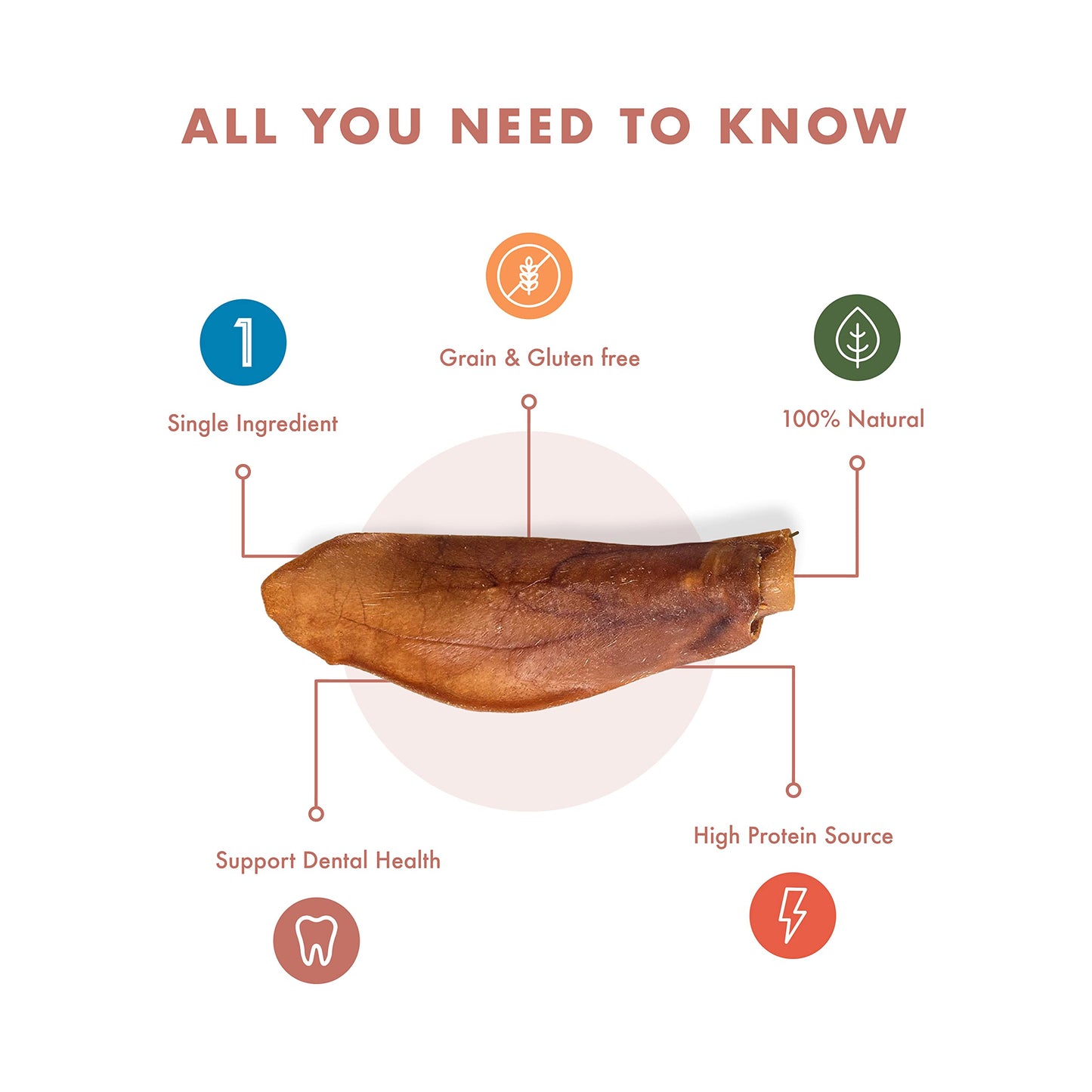 Pig Ears for Dogs (9 Count) - Long Lasting Chews for Aggressive chewers - No Hide Healthy Treat - Teeth Cleaning Treat - All Natural No Rawhide - for Small, Medium and Large Breeds