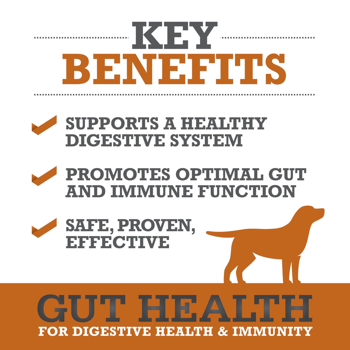 WINPRO Dog Gut Health Supplements – Plasma-Powered Chews for Dog Immune Support & Digestive Health, Fast-Acting Solution for Gut Health for Dogs of All Breeds & Sizes, 60 Count, Made in USA