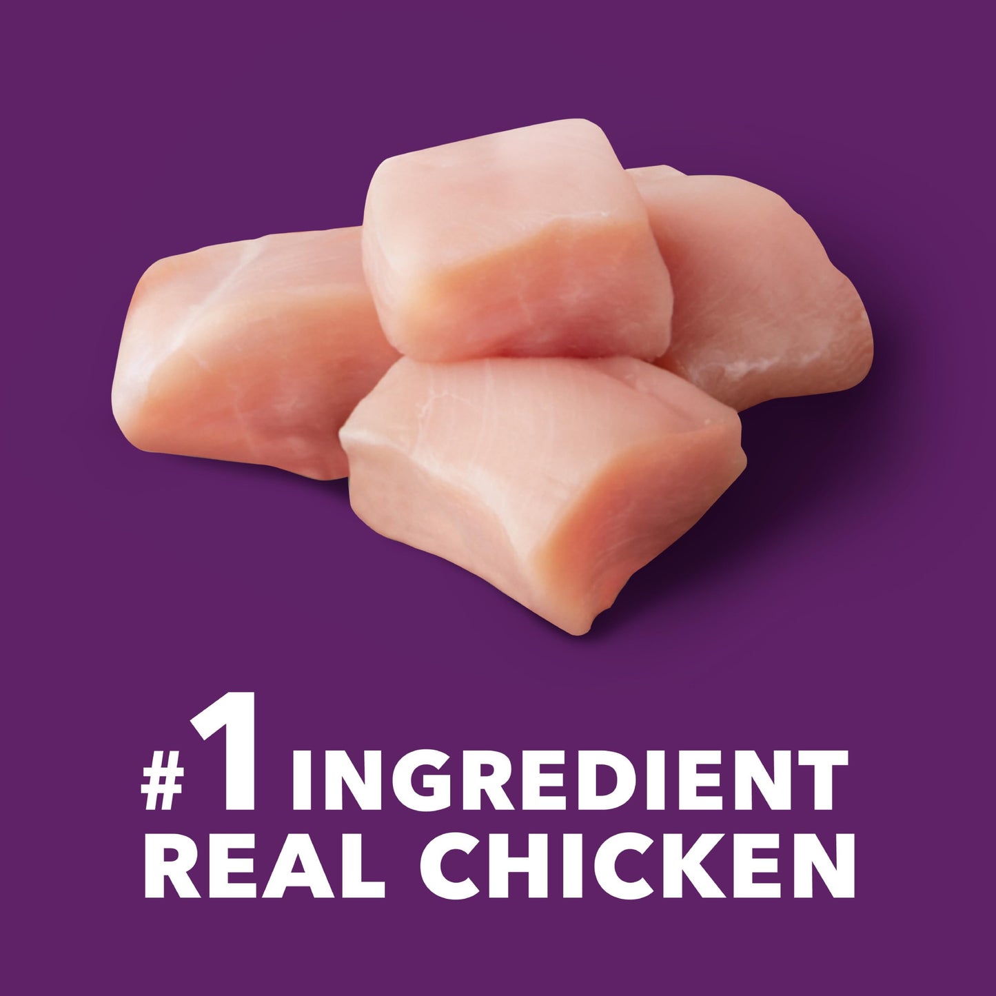 IAMS Advanced Health Mobility Support Chicken and Whole Grain Recipe Adult Dry Dog Food, 13.5 lb. Bag