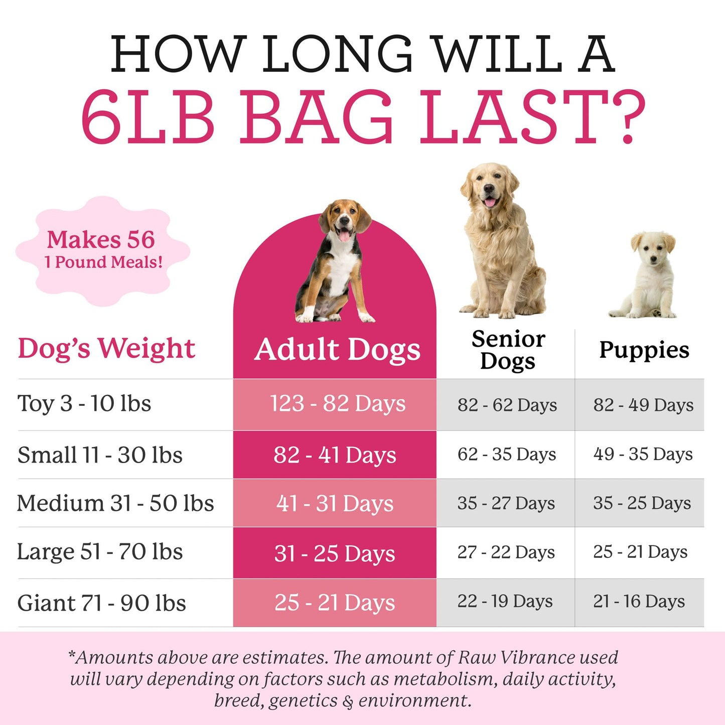 Dr. Harvey's Raw Vibrance Grain Free Dehydrated Foundation for Raw Diet Dog Food (6 Pounds)