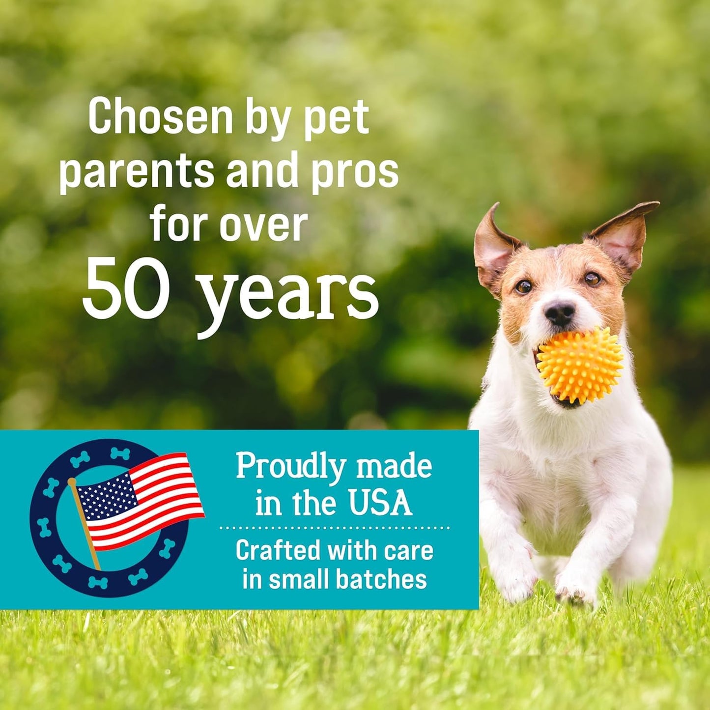 Stewart Raw Naturals Freeze Dried Raw Dog Food or Meal Topper, Beef & Vegetables Recipe, 32 Ounce Bag, Complete and Balanced Nutrition