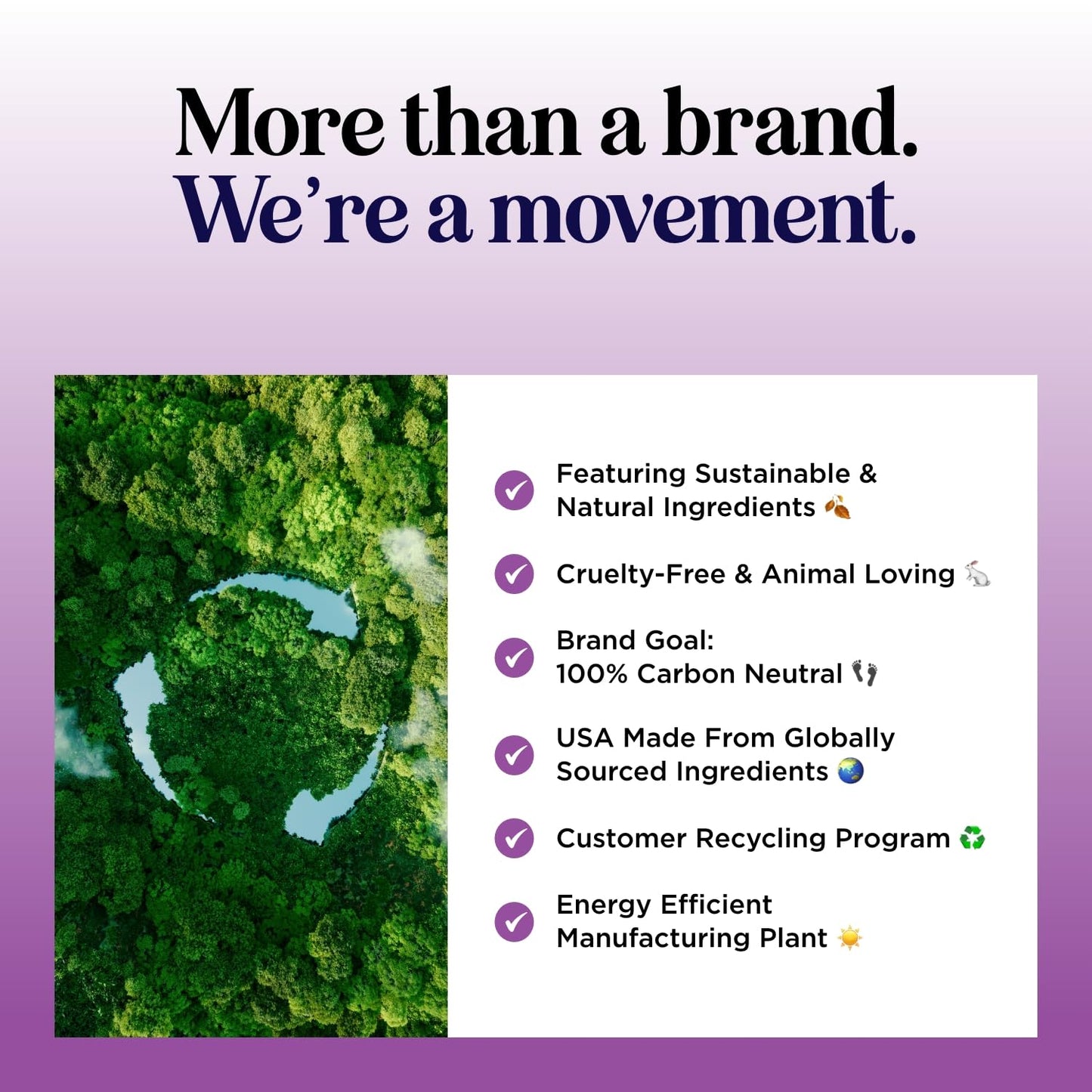 Soothing Oatmeal Shampoo for Dogs - Cleansing and Moisturizing Aloe & Oatmeal Dog Shampoo for Smelly Dogs of all Ages & Breeds - Gentle Sulfate and Paraben Free Dog Wash Made in USA (Lavender Vanilla)