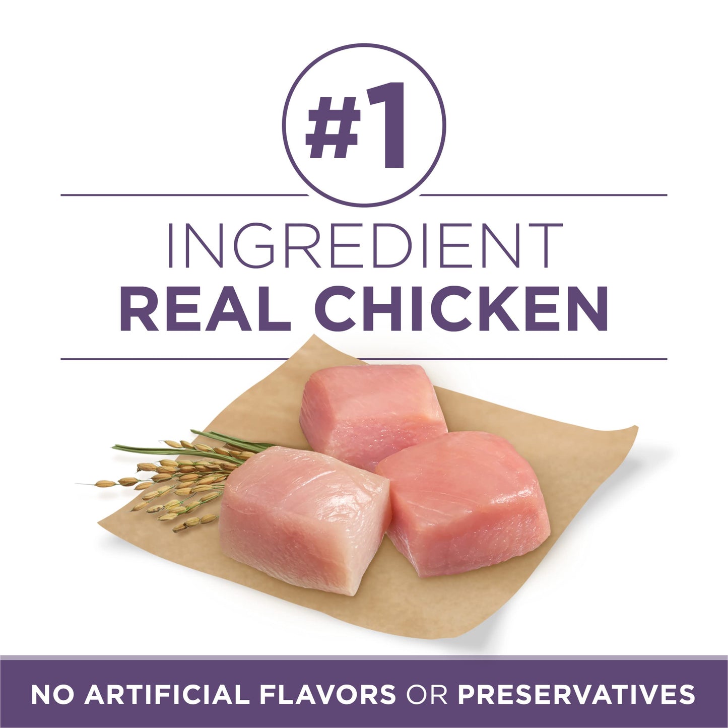 Purina ONE High Protein Dry Senior Dog Food Plus Vibrant Maturity Adult 7 Plus Formula - 31.1 lb. Bag