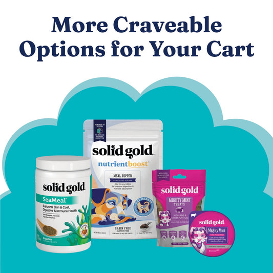 Solid Gold Toy & Small Breed Dry Dog Food Small Bites – Real Beef, Grain Free, Gluten Free, High Fiber Kibble with Probiotics for Gut Health & Digestion Support – Healthy Dog Food All Ages – 4LB