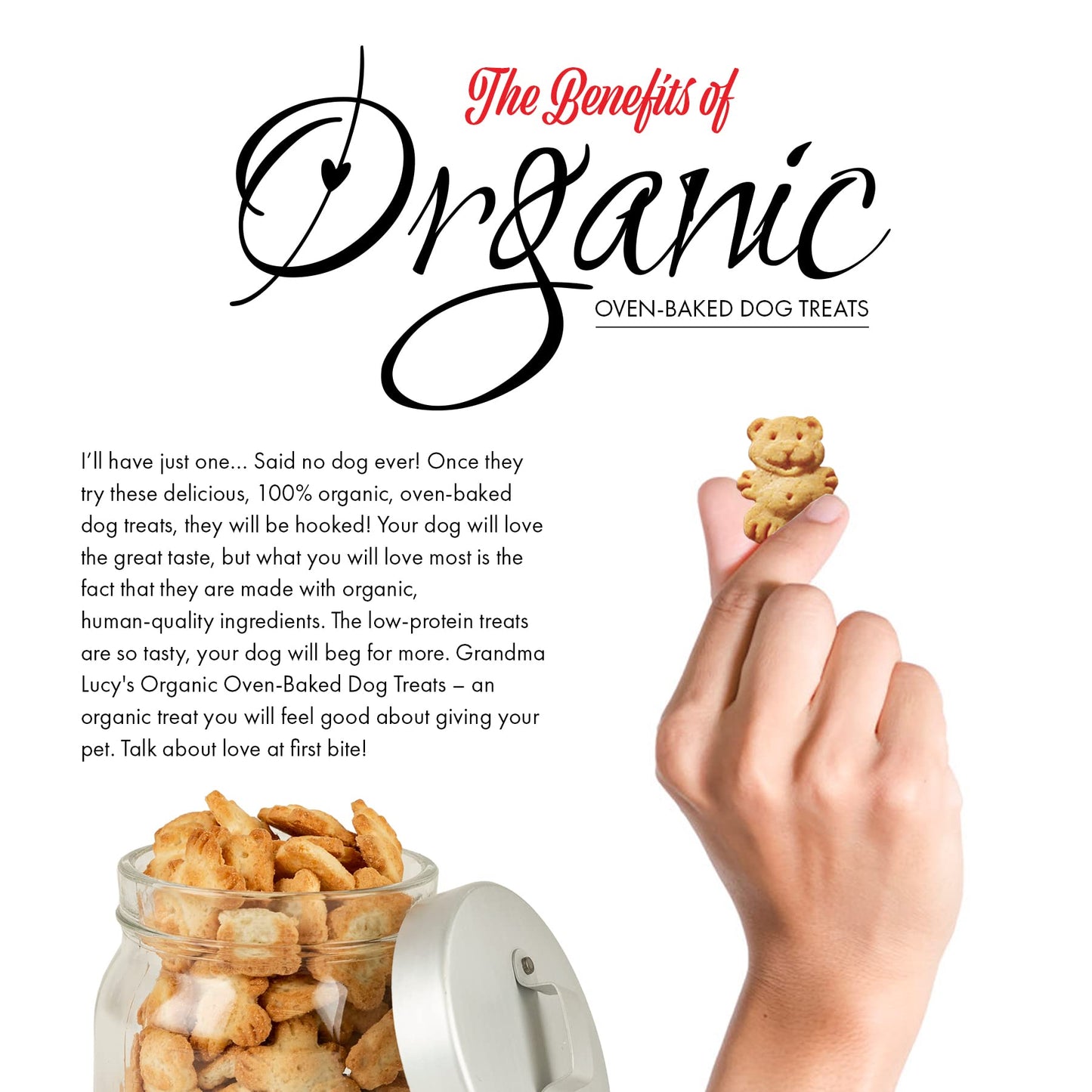 Grandma Lucy's - Organic Baked Dog Treats - Pumpkin - 14Oz