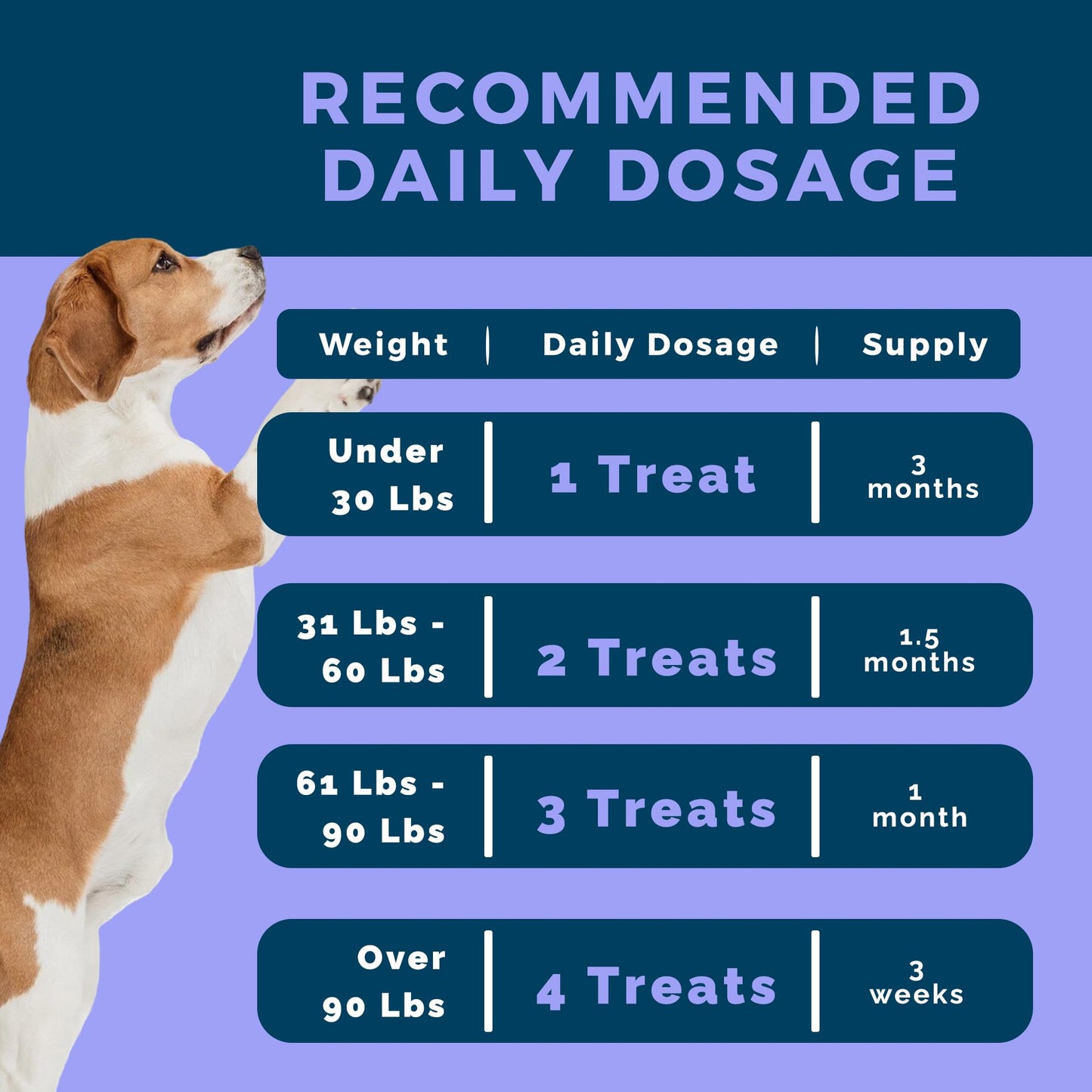 The Canine Supplement – Joint Support for Dogs | Soft Chews with Glucosamine, Chondroitin, MSM & Turmeric | Helps Mobility, Flexibility & Pain Relief | Roasted Peanut Flavor, 90 Count