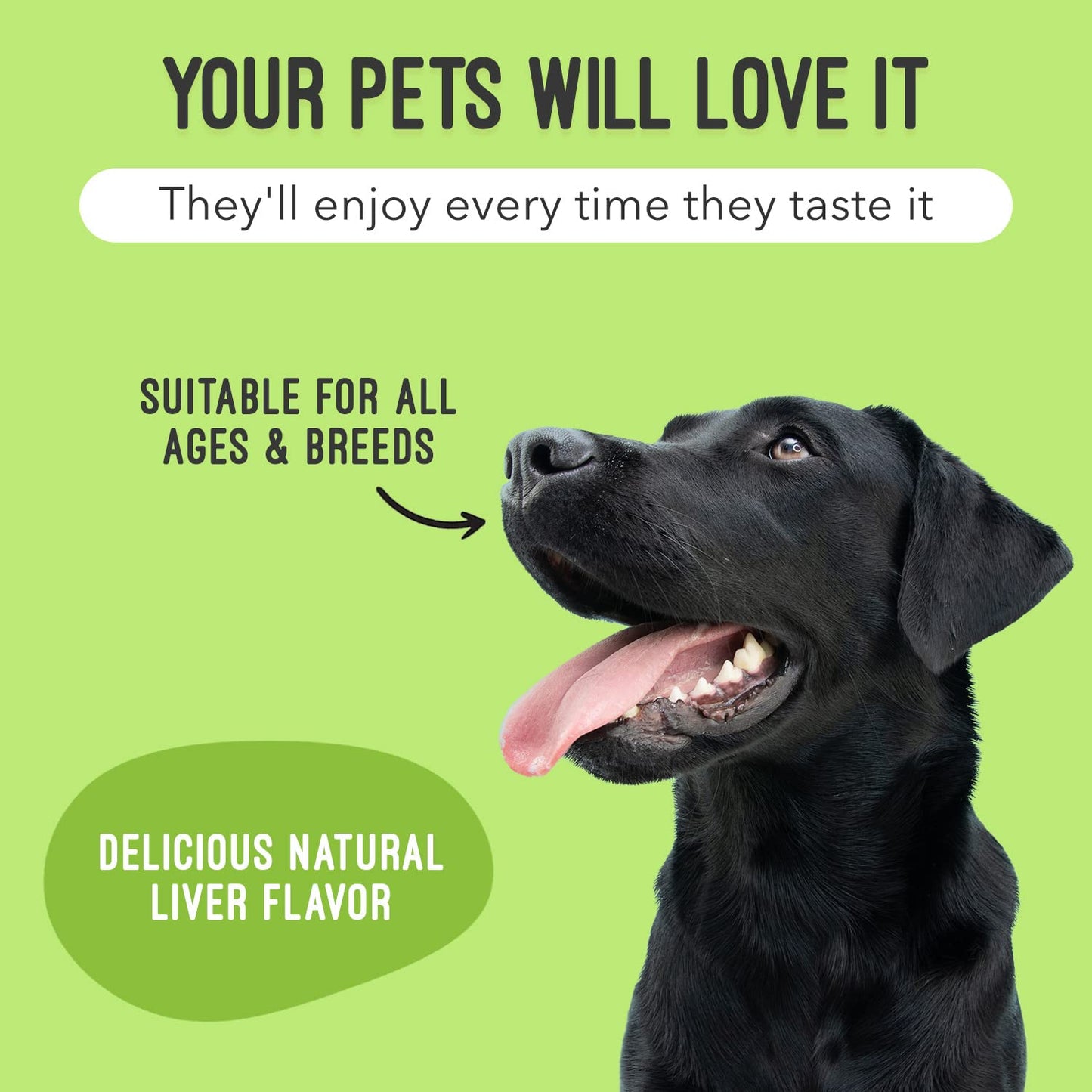 ArthriMAXX Dog Supplement for Joint Inflammation & Arthritis, Naturally Potent Dog Joint Care, Antioxidant Formula with MSM, Chondroitin, Vitamin C, & Glucosamine for Dogs, 32 fl oz