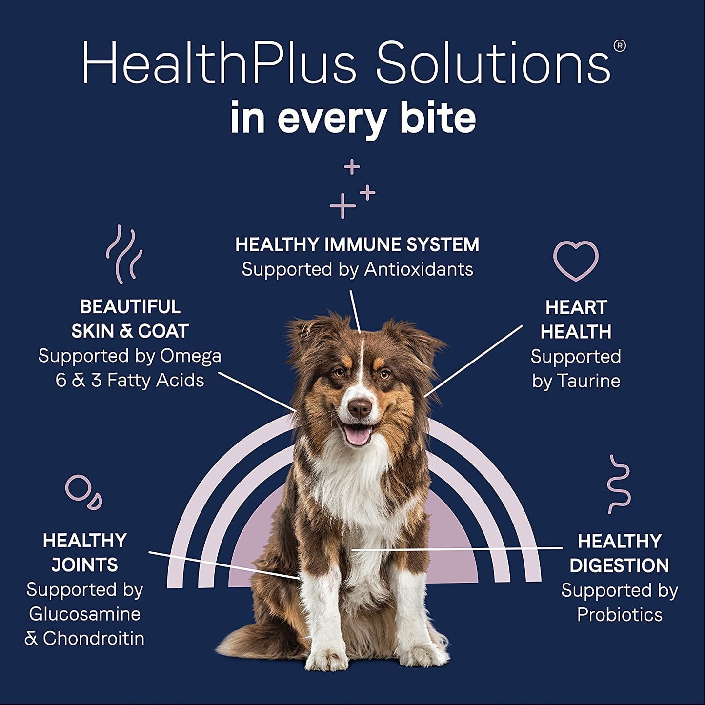 CANIDAE Pure Limited Ingredient Premium Adult Dry Dog Food, Real Bison & Barley Recipe, 4 lbs, with Wholesome Grains