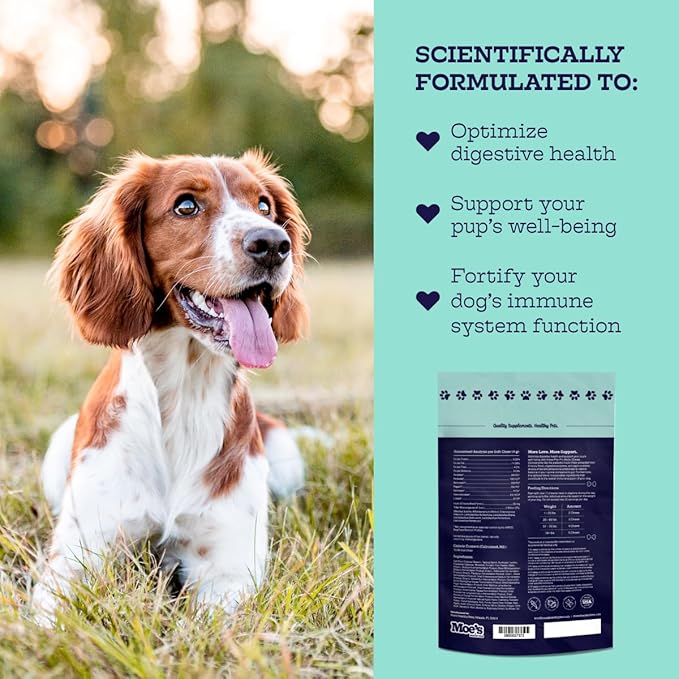 Moe’s Probiotic Chews for Dogs 90ct – Pumpkin Flavor Prebiotics & Probiotics for Gut Health, Digestion, Immunity and Itchy Skin Relief