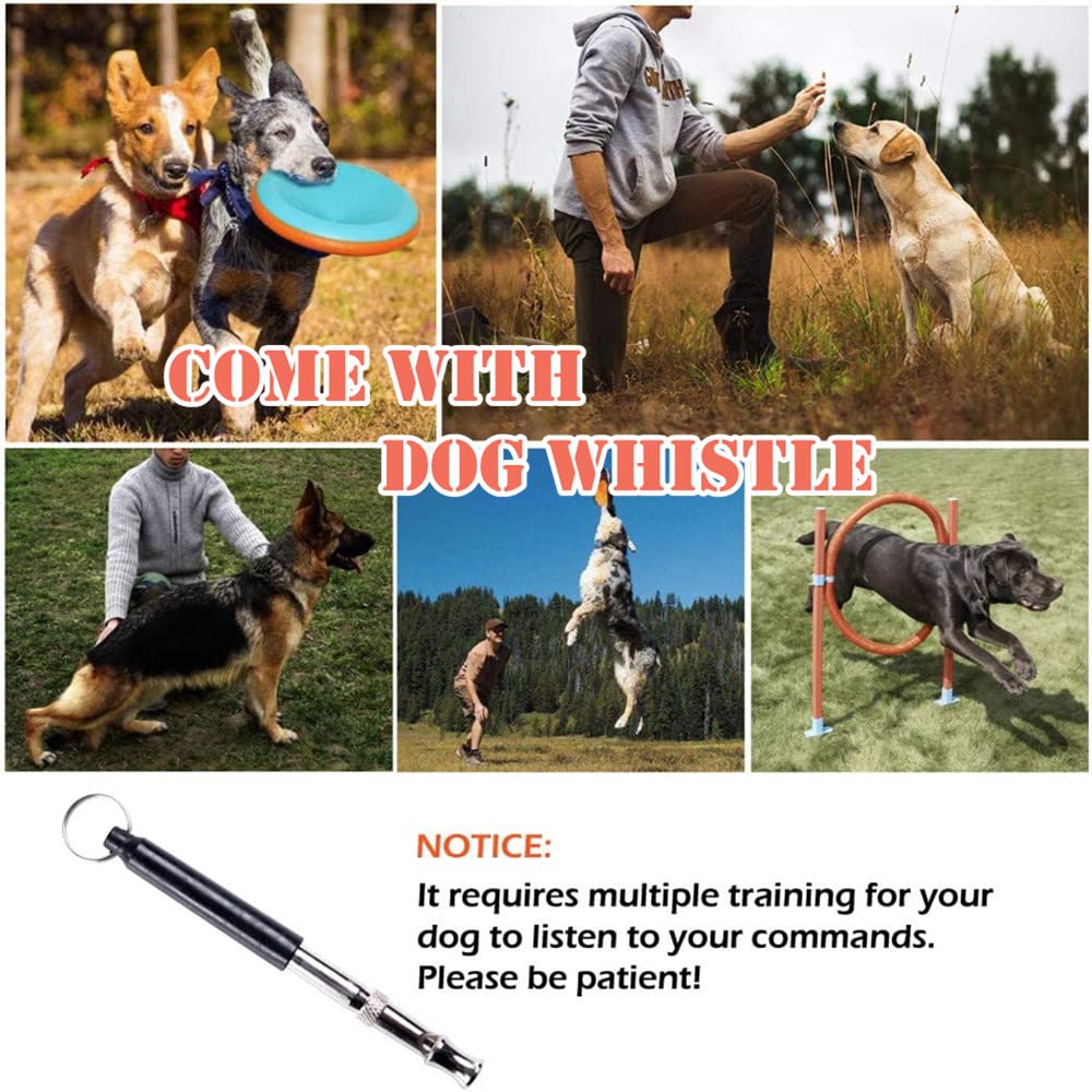 Kvittra Dog Agility Training Equipment Set, Obstacle Course Starter Kit for Pet Outdoor Games With Tunnel, Weave Poles, Adjustable Hurdle, Jump Ring