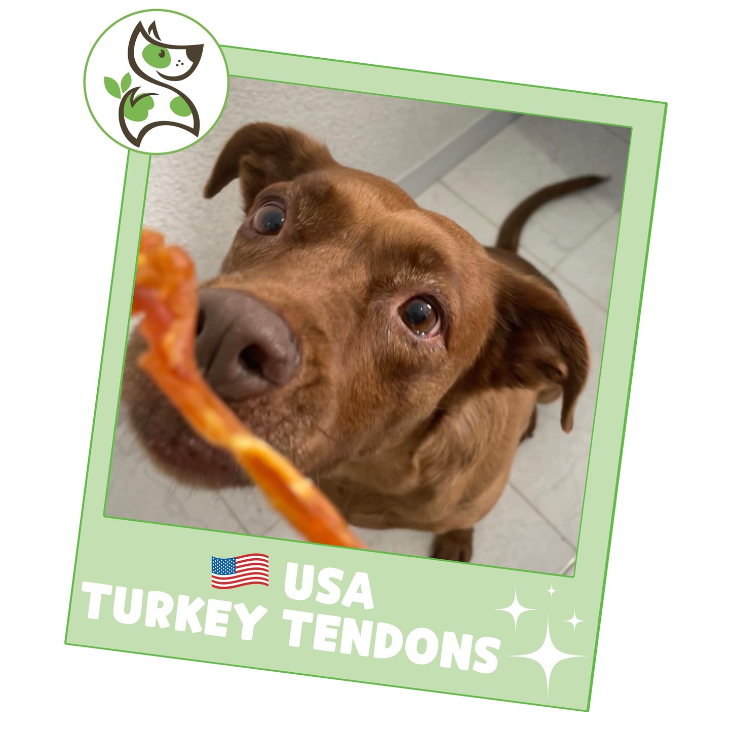 Nature Gnaws USA Turkey Tendons for Dogs (8oz) - Delicious Grain Free Reward Snack for Small, Medium & Large Breeds - Premium Natural Dog Chew Treats