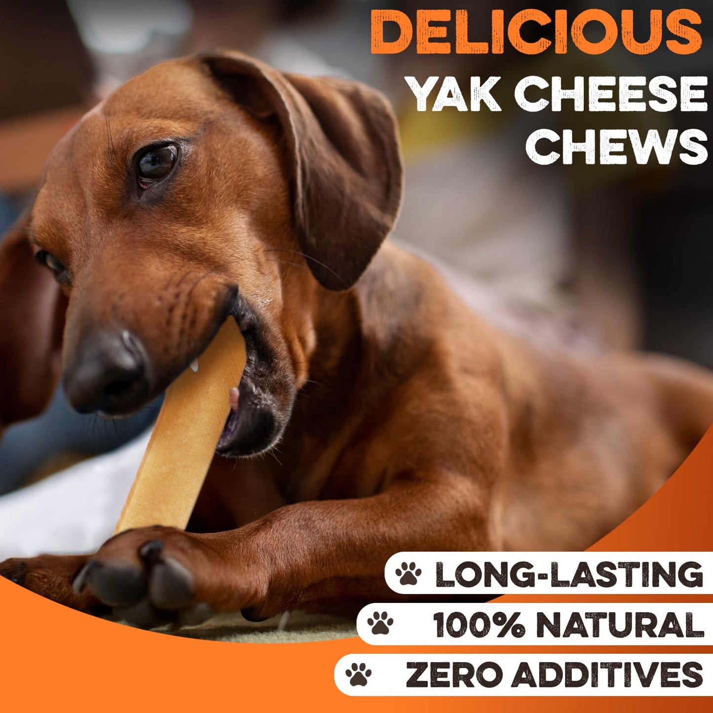BRUTUS & BARNABY Yak Cheese Himalayan Dog Chews for Aggressive Chewers – Rich in Nutrients, Long Lasting Yak Chews for Small to Large Dogs.(8-pk)