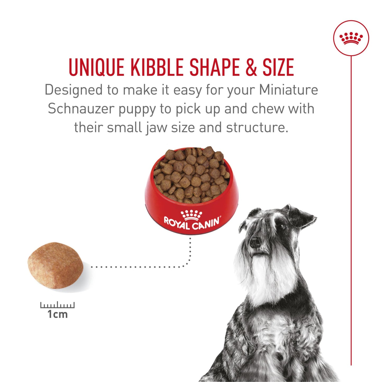 Royal Canin Miniature Schnauzer Adult Breed Specific Dry Dog Food, 10 lb Bag