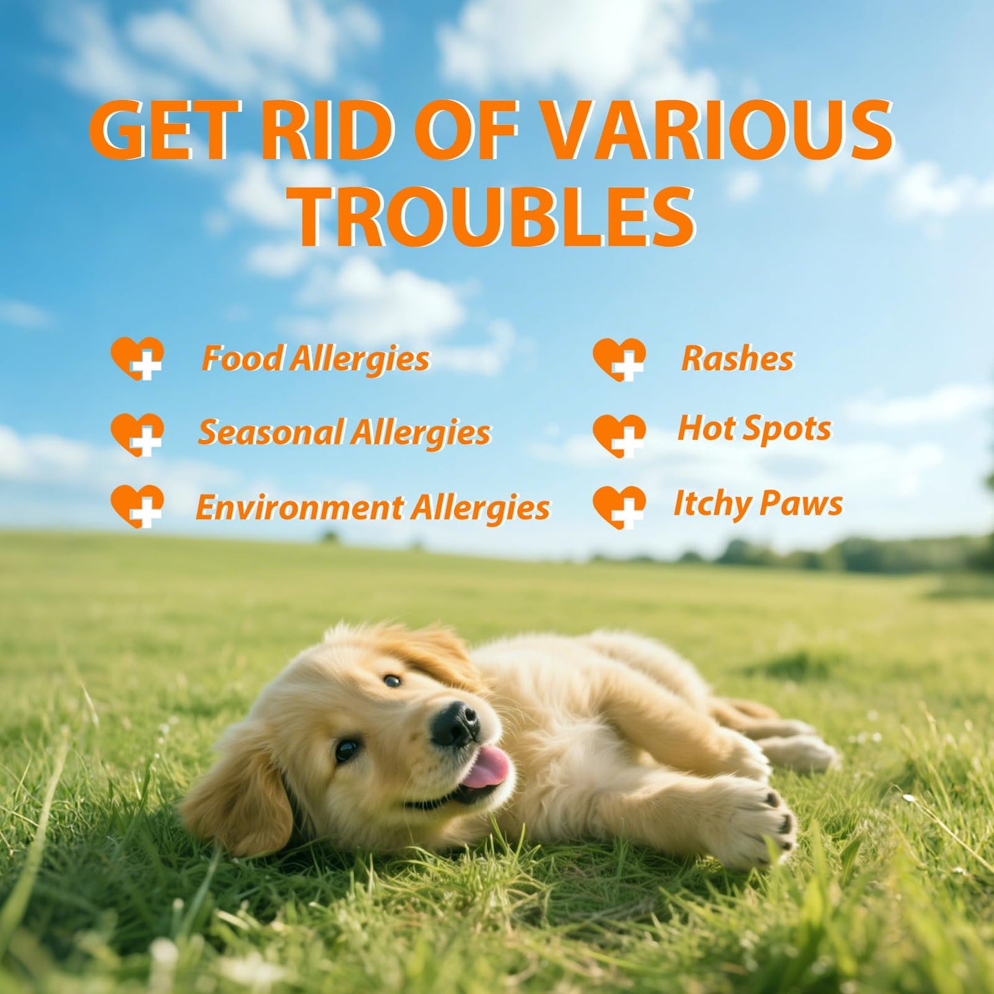 Dog Allergy Relief Chews - 180 Dog Allergy Chews - Itch Relief for Dogs, Dry Skin & Coat Supplement - Immune Health