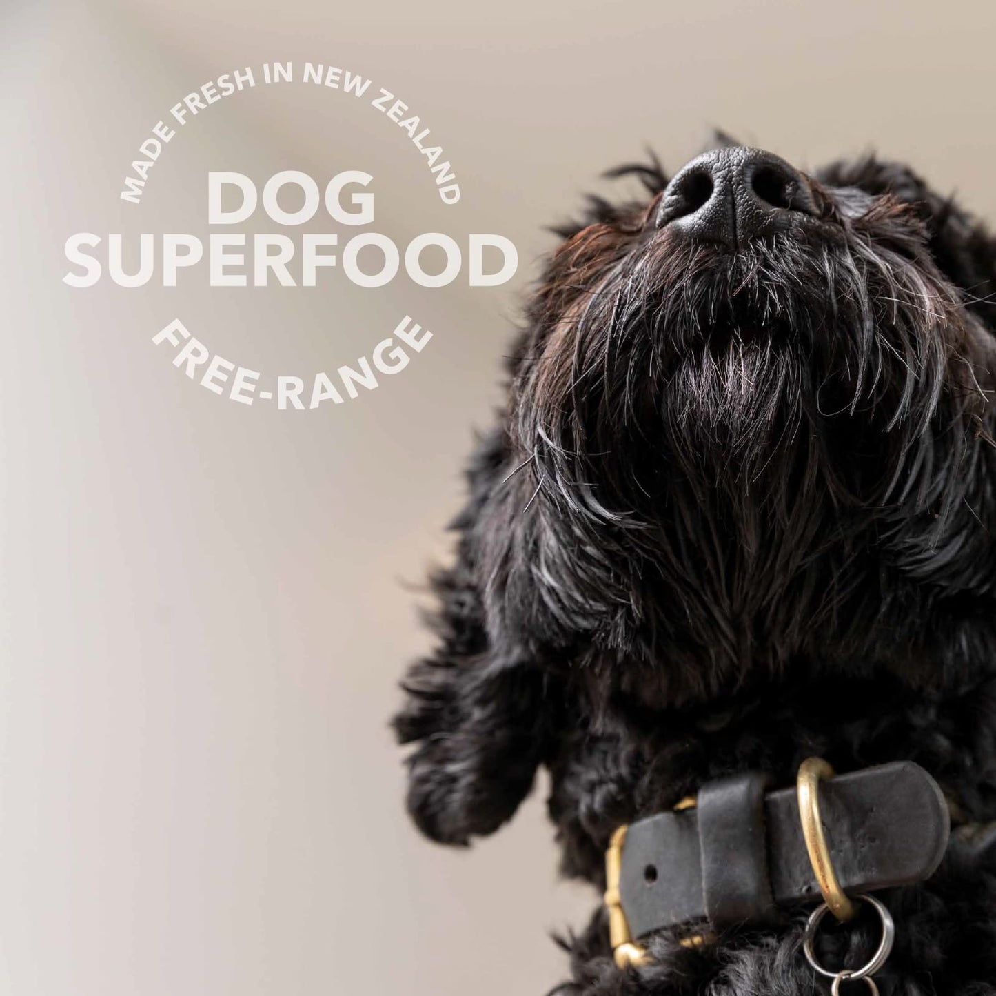 K9 Natural Freeze Dried Dog Food Topper with Verified Ingredients, Organ Meat Blend for Digestive Support, Human-Grade Freeze Dried Puppy Food & Dog Topping, Beef Green Tripe, 2.6oz