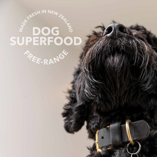 K9 Natural Freeze Dried Dog Food Topper with Verified Ingredients, Organ Meat Blend for Digestive Support, Human-Grade Freeze Dried Puppy Food & Dog Topping, Beef Green Tripe, 2.6oz