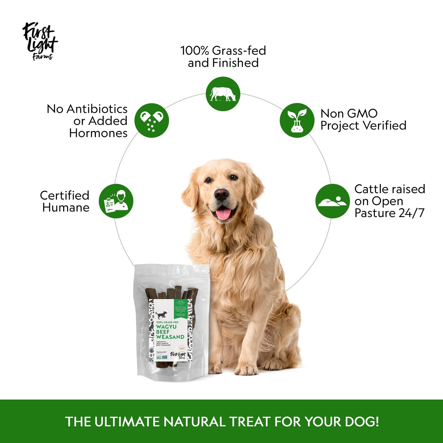 First Light Farms Wagyu Beef Esophagus Dog Treats | Gullet Sticks for Dogs | Esophagus Jerky Treats | All Natural Weasand Chews, 4-5 Count | Healthy Treats for Teeth, Mental Stimulation, Joint Support