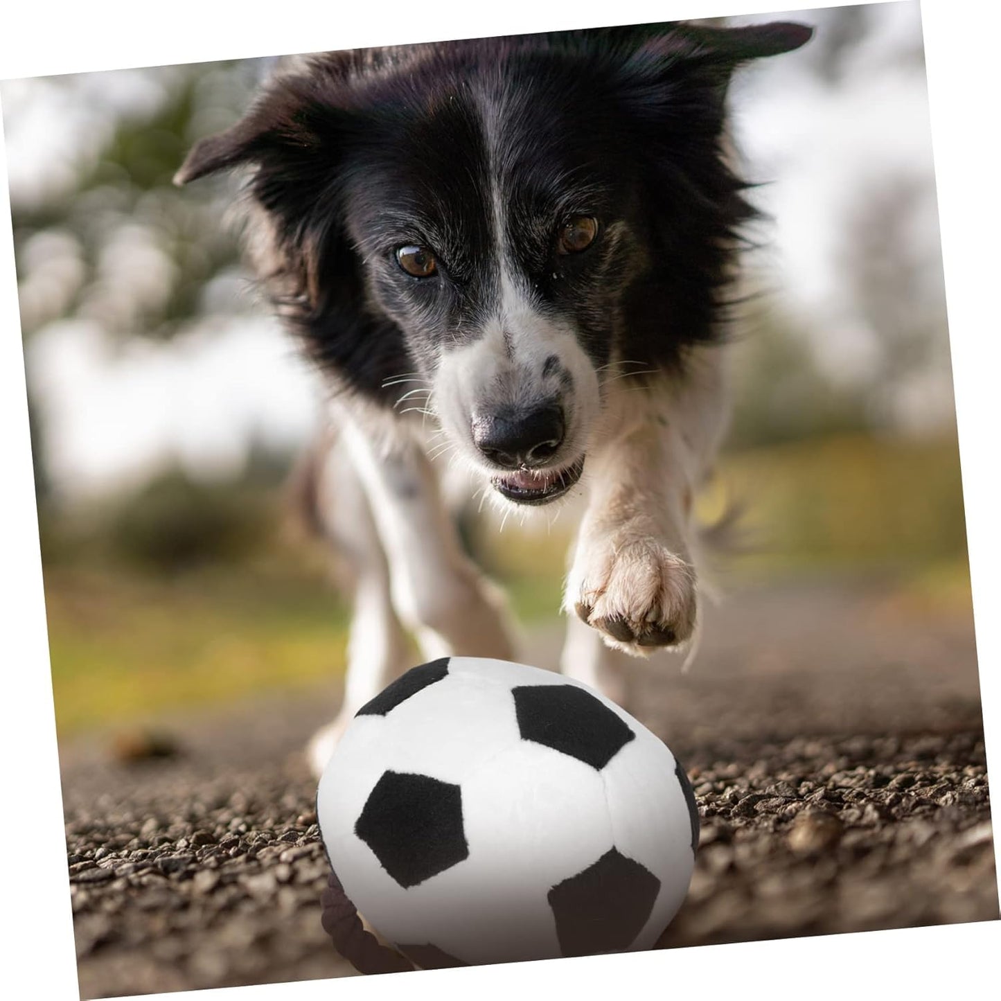 Paw Gem Interactive Dog Soccer Ball with Straps Rope Toy, Dogs Toys to Keep Them Busy, Dogs Birthday Gift, Mental Stimulation, Tug of War Dog Ball Toy Small to Medium Birthday Gift