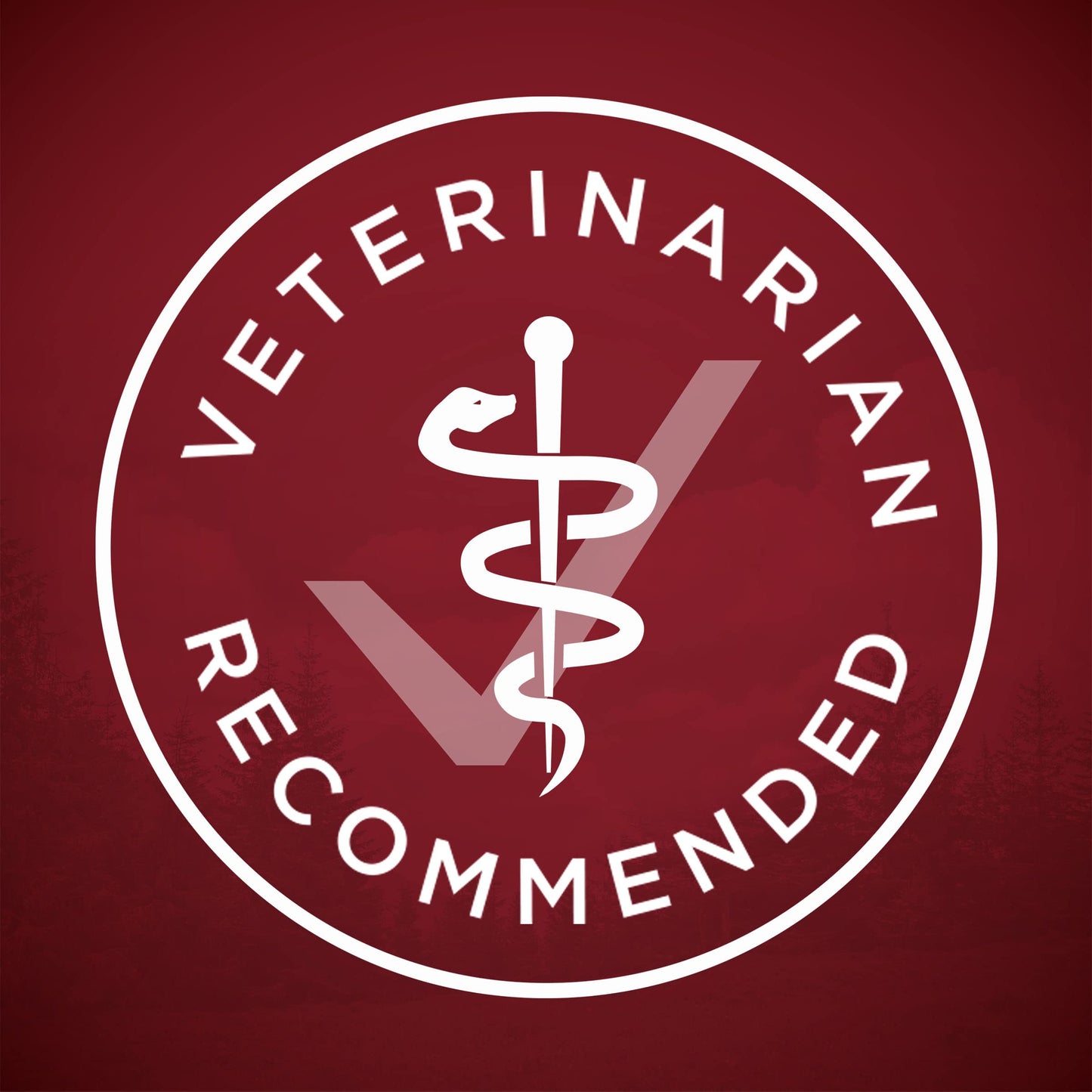 Purina ONE High Protein Wet Dog Food True Instinct Tender Cuts in Dog Food Gravy With Real Beef and Bison - (Pack of 12) 13 oz. Cans