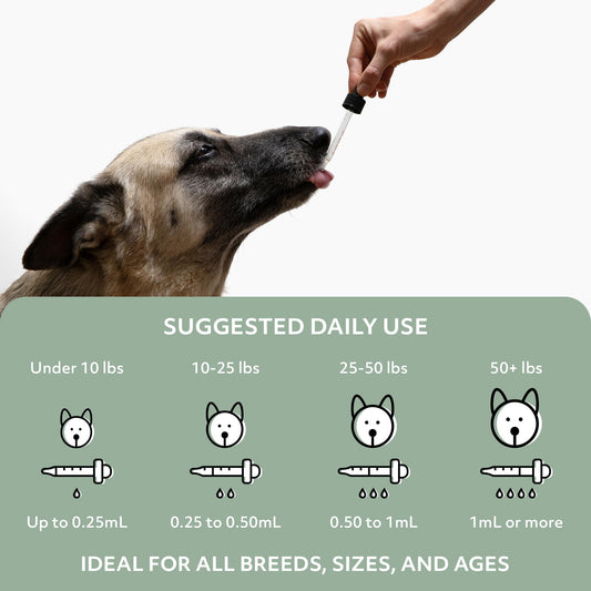 Reggie Anytime Calming Drops for Dogs | Natural Calming Tincture to Reduce Hyperactivity, Separation Anxiety, & Stress | Vet-Approved & Ideal for All Ages, Breeds, and Sizes - Chicken Flavor