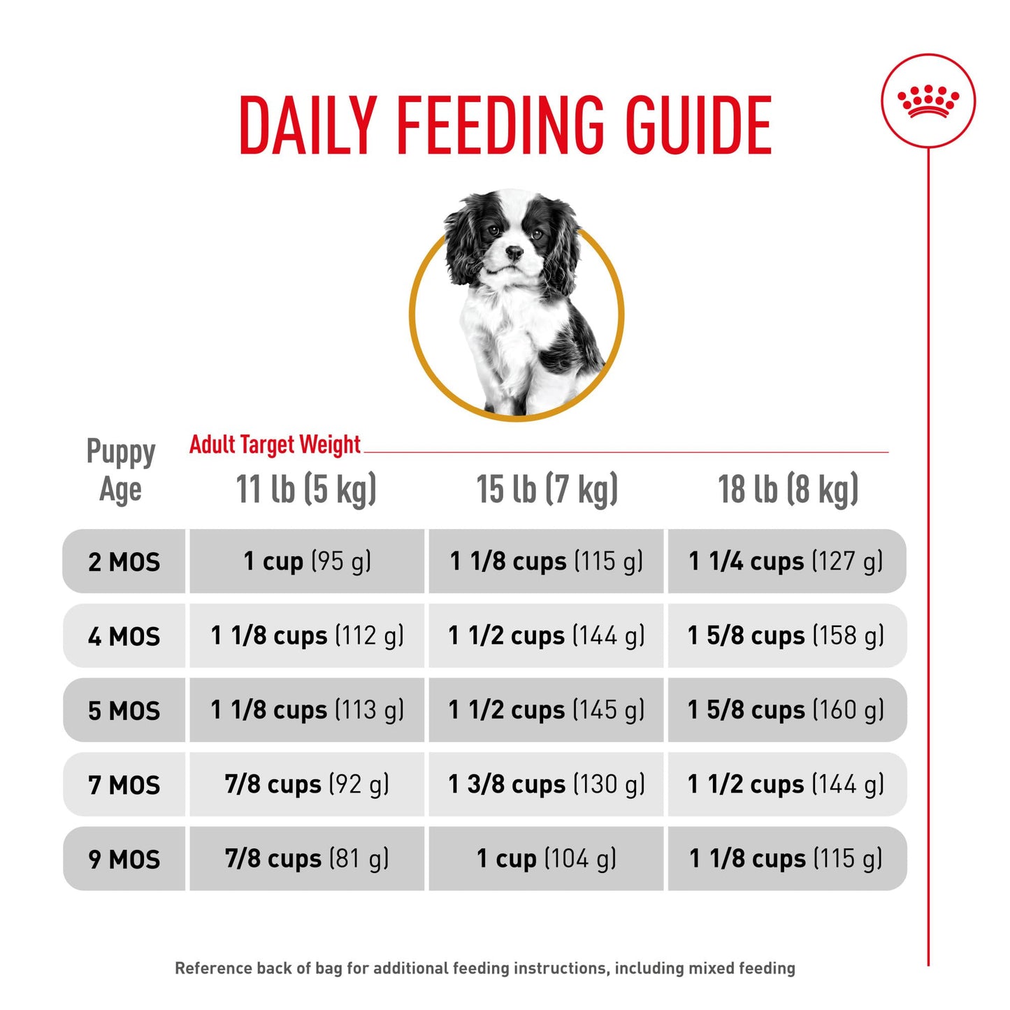Royal Canin Breed Health Nutrition Cavalier King Charles Spaniel Puppy Dry Dog Food, 3 lb Bag