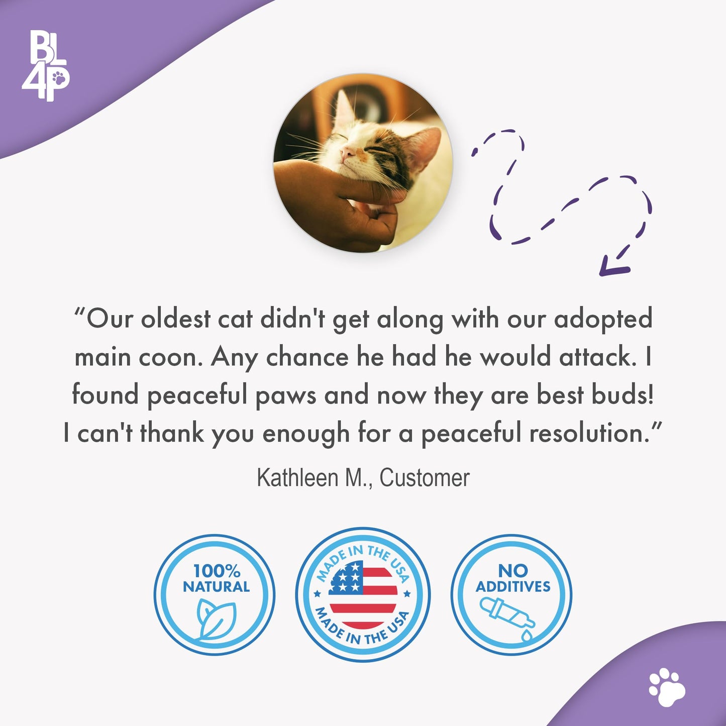Anti Aggression for Cats Calming Remedy, A Natural Diffuser and Cat Calming Aid for Stress, Spiteful Spraying, Scratching & Territorial Behavior, Non-Drowsy, 400 Odorless, Tasteless Pills
