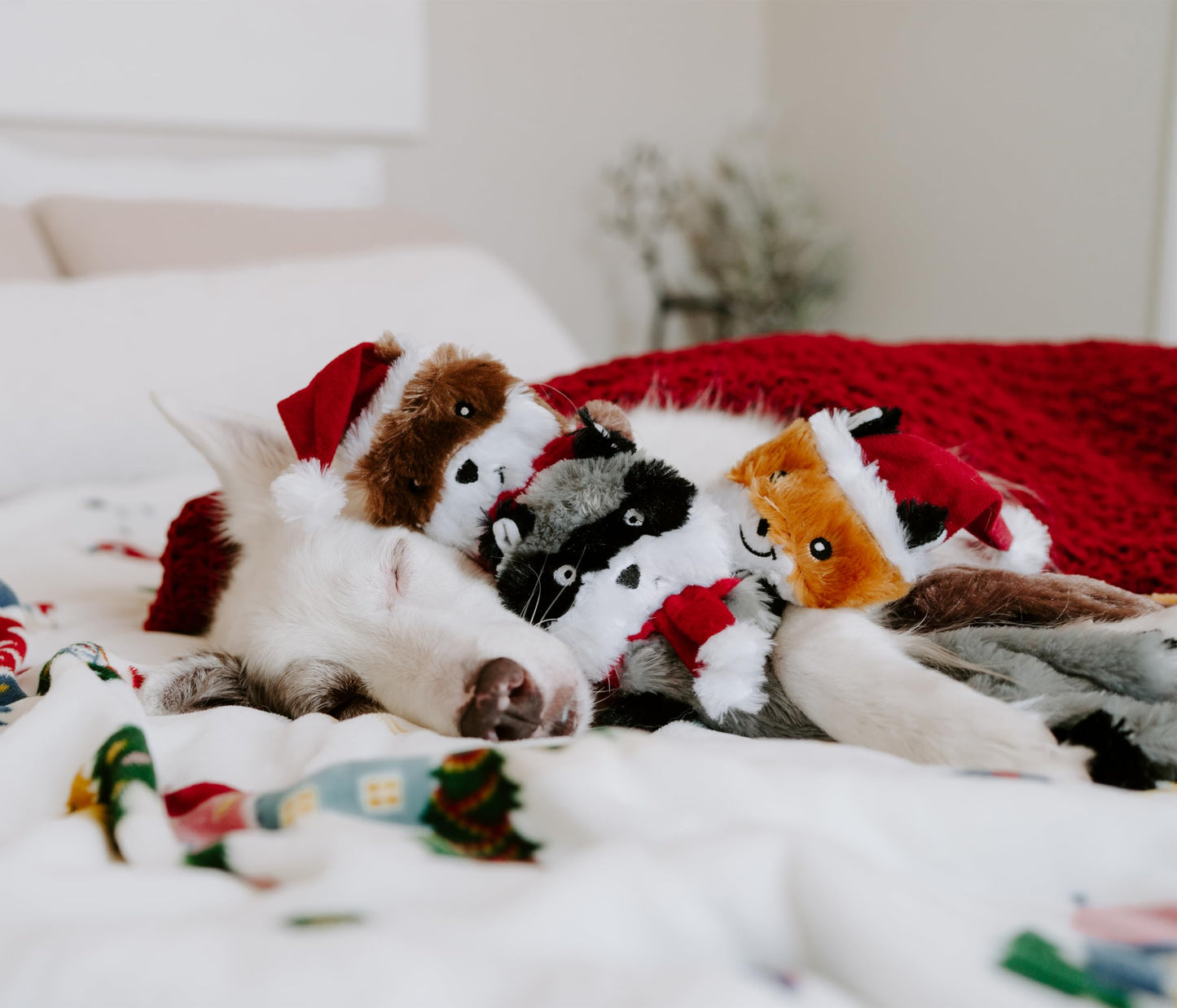 FURRY LOVE Flippy Flopper Dog Frisbee – Durable Dog Toy for Outdoor Fetch – Floating Frisbee for Dogs with Soft Rubber Edges – Comfortable on Teeth and Gums – Suitable for Water and Backyard Play