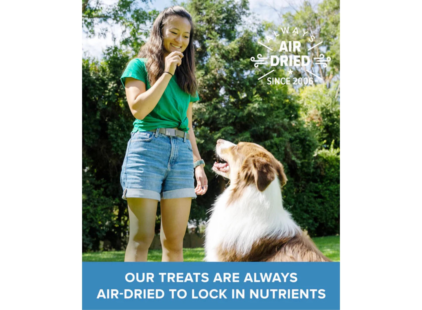 PLATO Lamb Dog Treat Variety Pack – 3 Count (Small Bites 2.5oz, Real Strips 6oz, Mini Thinkers 3oz) – Soft, Air-Dried, Grain-Free Training & Snack Treats