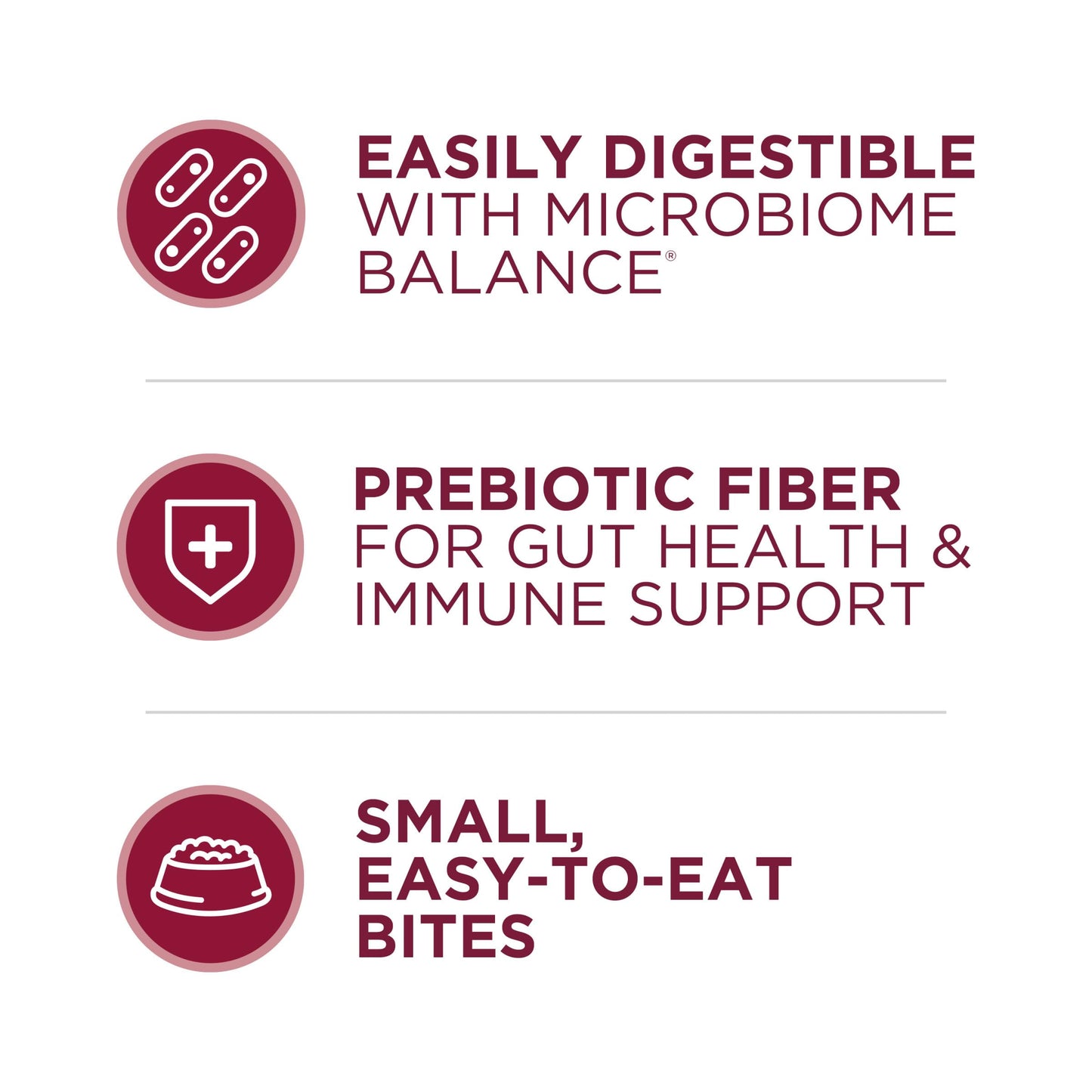 Purina ONE Small Bites Beef and Rice Formula Small High Protein Dry Dog Food Natural With Added Vitamins, Minerals and Nutrients - 31.1 lb. Bag