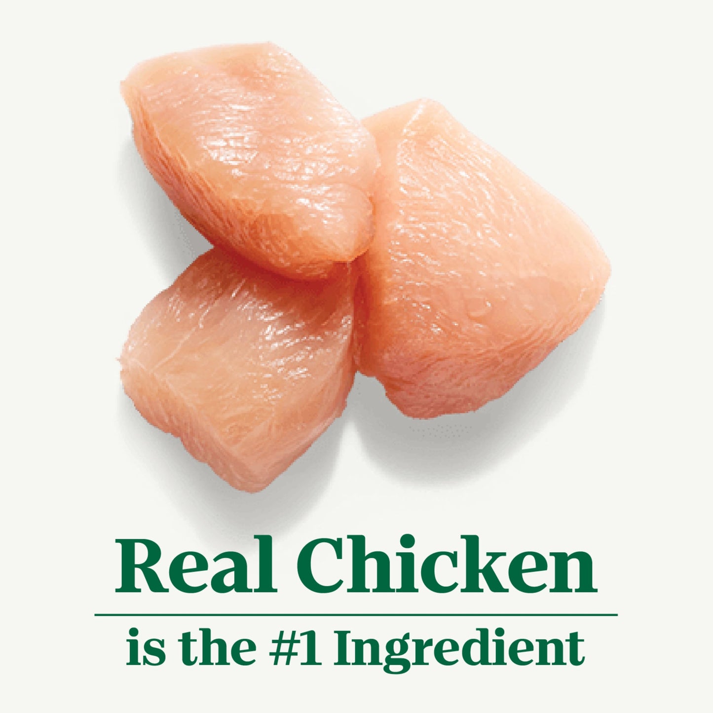 Nutro Natural Choice Premium Loaf Adult Wet Dog Food Chicken Recipe 12.5 oz Cans (12 Count, Pack of 1)