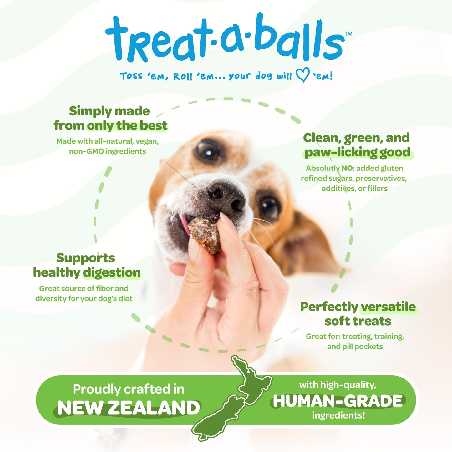 Nutritious All Natural Bulk Dog Treats - Vegan, Fiber-Rich, Human-Grade - All Breeds, Sizes, Ages - Made in New Zealand - Mango, Spinach & Chia - 6pk (108 Dog Treats Bulk)