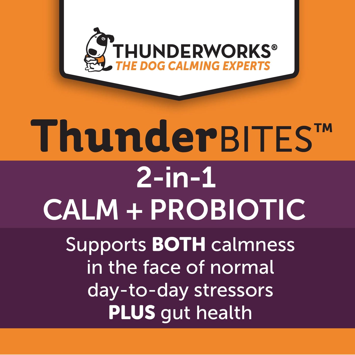 ThunderBites Calm + Probiotics for Dogs Daily Supplement Soft Chews, Supporting Dog Digestive & Gut Health with Probiotics, Prebiotics & Postbiotics + Calming Support for Daily Stressors, 90 Count