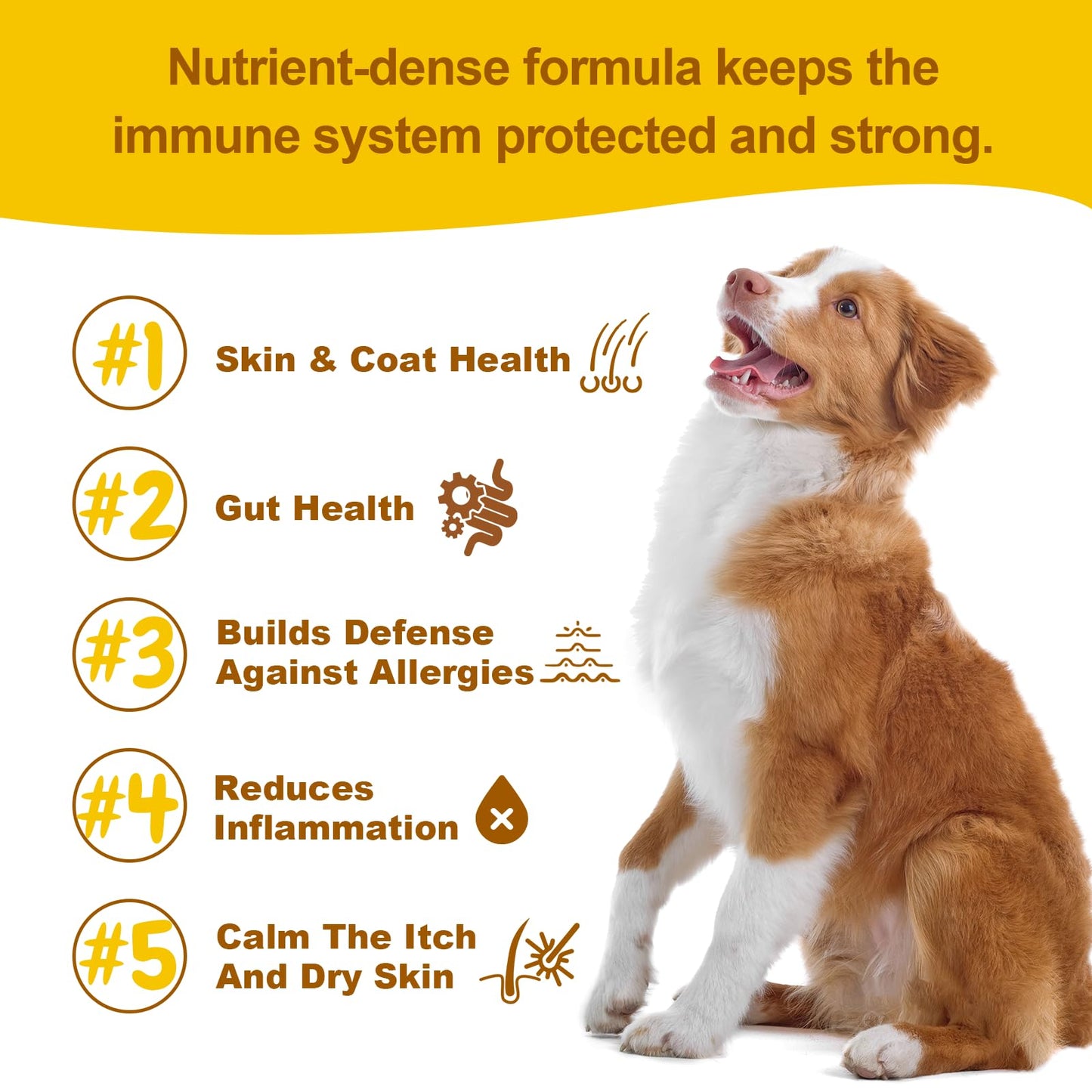 Allergy & Immune Support Chews for Dogs Seasonal Allergy Relief, Itchy Skin, Probiotics for Gut Health & Strong Immunity with Colostrum, Astragalus, Yeast Fermentate & Probiotic Blend 90 Soft Chews