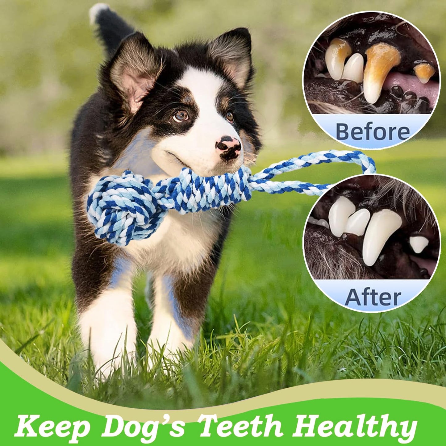 TUAHOO Outdoor Hanging Dog Bungee Tug Solo Toy, Tree Tugger Pull Rope & Tether Tug a War for Pitbull Medium Large Aggressive Chewers, Interactive Exercise Play Cord, 2 Dog Rope Toys