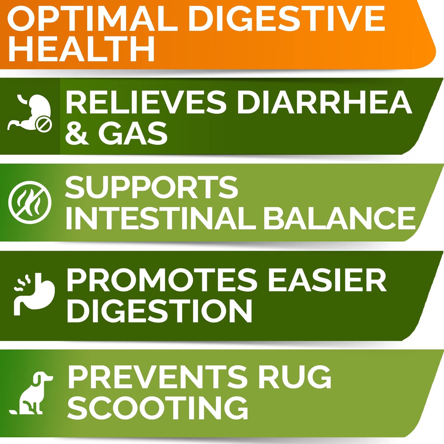 Allergy Relief 2 Packs 240 Ct + Vet Strength Probiotics - 120Ct Dogs Bundle - Dog Itchy Skin Treatment - Omega3 & Pumpkin + Digestive Enzymes + Prebiotics - Diarrhea, Gas, Constipation - Made in USA