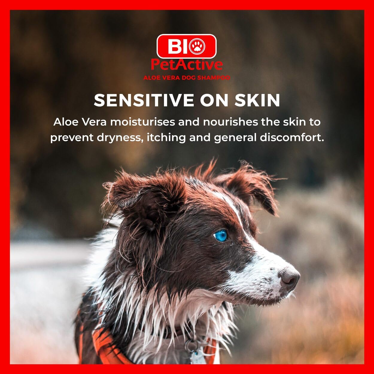 Bio PetActive Aloe Vera Extract Shampoo for Dogs - Cleansing & Moisturizing Care for Sensitive and Normal Skin, Paraben Free, pH Balanced + Natural Ingredients - 13.53 Fl oz