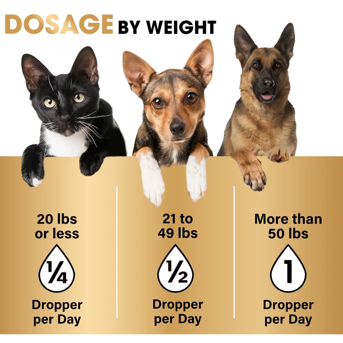 Hemp Seed Oil & Norwegian Salmon Oil - Organic, No Additives, Human-Grade Formula for Dogs and Cats - Reduce Anxiety, Pain, and Inflammation - Hip and Joint Support - Made in USA
