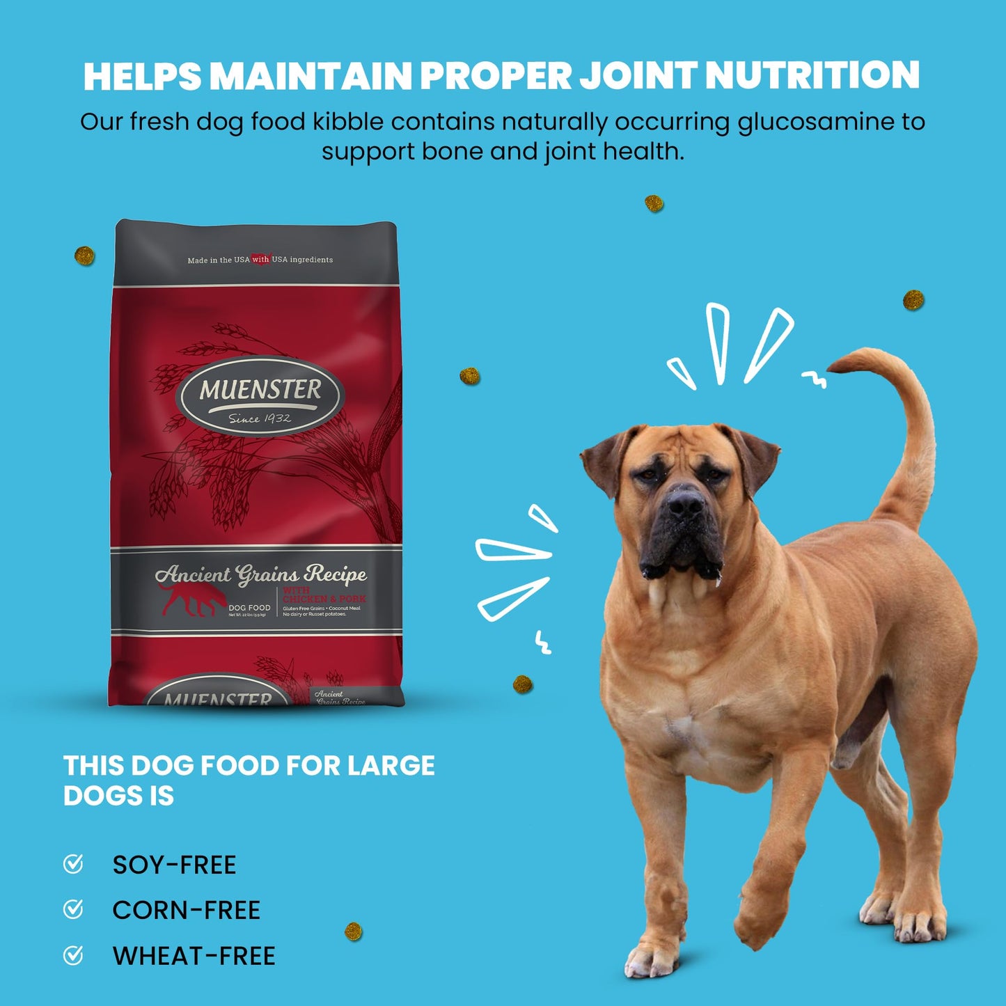 Muenster Ancient Grains Chicken & Pork Dry Dog Food, 22lb - Gluten-Free, High Protein, Digestive Support