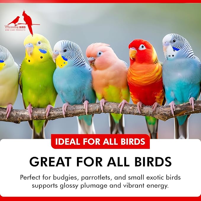 Morning Bird Feather Guard Spray for Birds 1 Gallon Refill – Soothes Irritation & Itchy Skin – Reduces Feather Picking – Promotes Healing & Feather Growth – Safe Daily Skin Care Formula