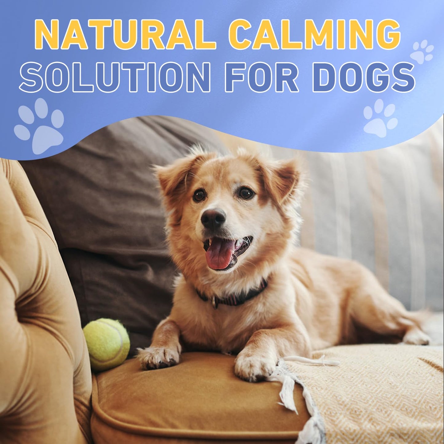 Tetra Dog Melatonin, Quiet Moments Calming Aid for Dogs Melatonin, Effective Anxiety Relief, Dog Sleep Aid for Dogs &Cats, 60 Ml