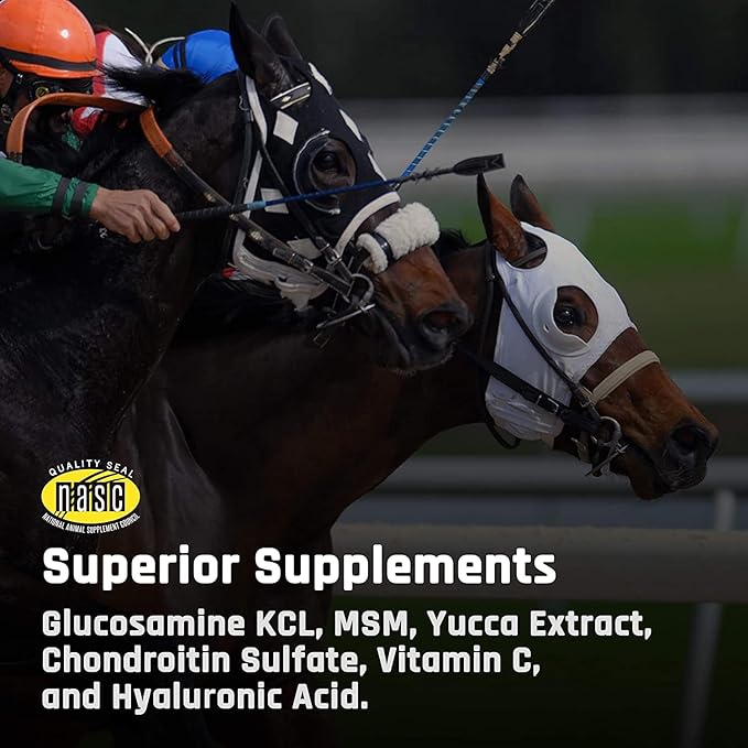 Majesty's Kalm Wafers - Supports Horse / Equine Balanced Behavior and Normal Nervous System Function - Tryptophan, Vitamin B1, Winter Cherry, Inositol - 30 Count (1 Month Supply)