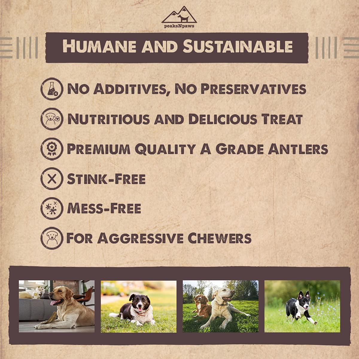 peaksNpaws Premium All-Natural Grade A Split Elk Antlers for Dogs – Naturally Shed in The Rocky Mountains – No Additives, No Preservatives - Healthy and Delicious Treat - Made in USA - XL/Jumbo Split