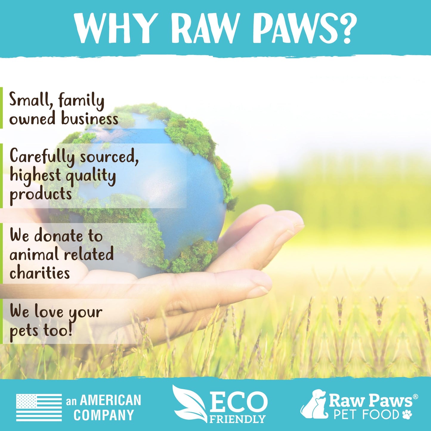 Raw Paws Green Lamb Tripe Sticks for Dogs (10-Count) - Single Ingredient, Grass-Fed & Free Range - Crunchy Lamb Dog Treats - All Natural Dog Chews