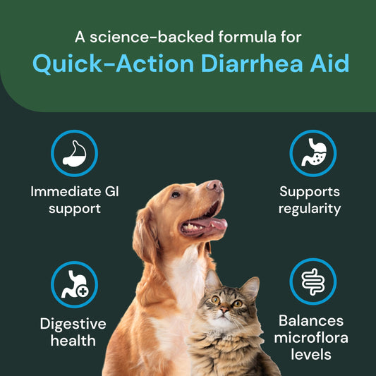 VetriScience Quick Action Diarrhea Aid Paste - Occasional Diarrhea Support for Pets - Probiotic Formula for Nervous Guts - Digestive Support Supplement - Unflavored - 60 cc
